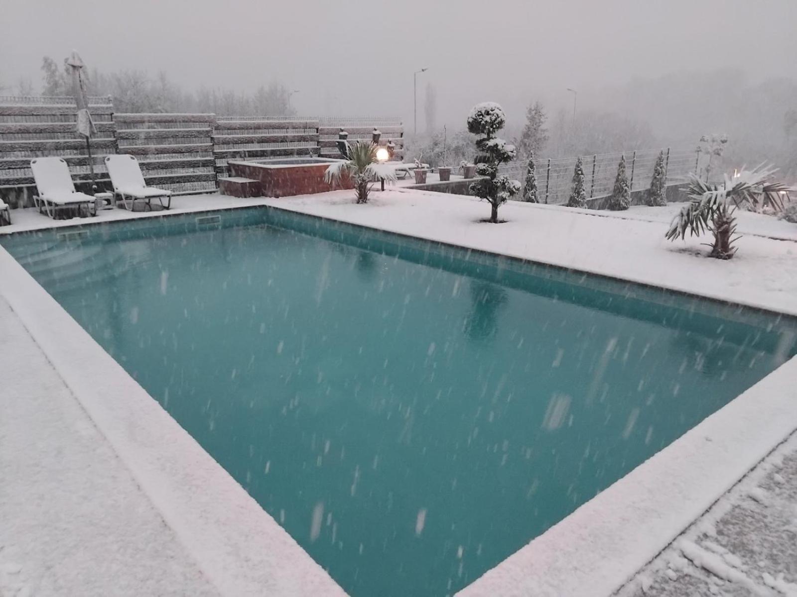 Villa Dimo Topal Ohrid Exterior foto