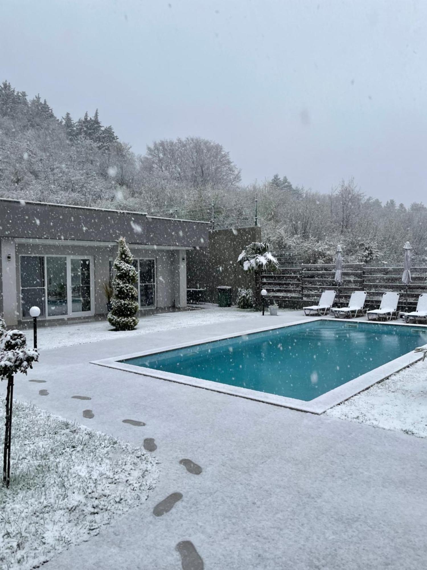 Villa Dimo Topal Ohrid Exterior foto